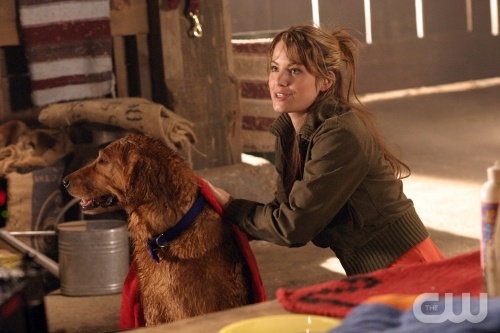 TheCW Staffel1-7Pics_303.jpg - SMALLVILLE"Krypto" (Episode #414)Image #SM414-9863Pictured: Erica Durance as Lois Lane with "Krypto" the DogCredit: © The WB/David Gray